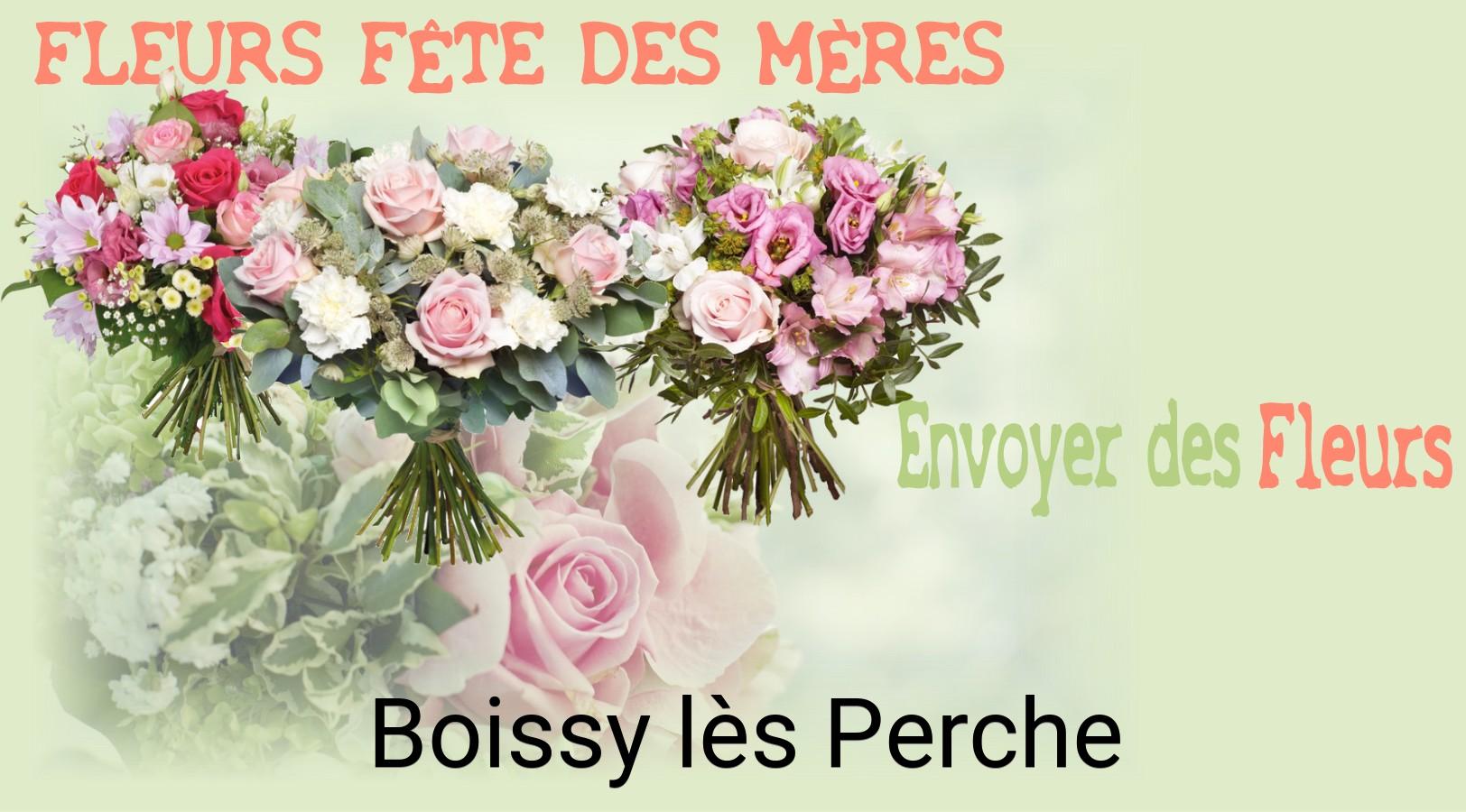 Bouquet de Fête des Mères livré à Boissy-lès-Perche